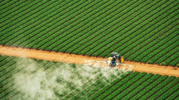 Best Mosquito Control Services  in South River, NJ