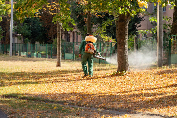 Best Bird Control  in South River, NJ