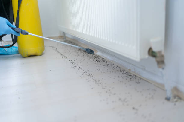Best Pest Prevention Services  in South River, NJ