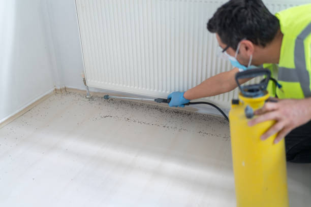 Reliable South River, NJ Pest Control Solutions